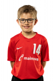 Hannes
